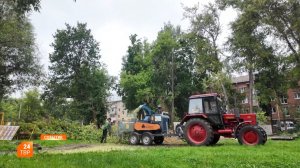 Удаленные деревья компенсируют молодыми