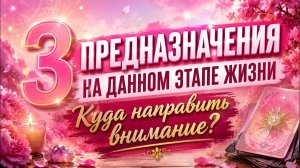 3 ваших ПРЕДНАЗНАЧЕНИЯ на данном этапе жизни Гадание Tarot расклад