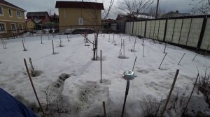 Влог от 17.03.2023