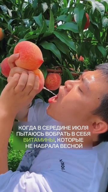Пишите слово СЕЗОН, и я подробнее расскажу о том, как правильно питаться, чтобы не мучиться #зож #пп