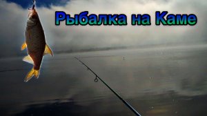 ОХОТА НА СУДАКА С ТРЕВЕЛ-УДИЛИЩАМИ