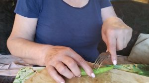 готовлю перец цицак и беседую.