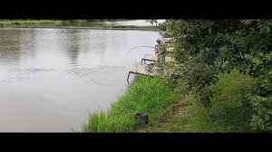 Светлые Горы Карп3 29.07.2026г.