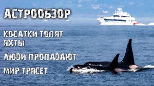 Косатки топят яхты, люди пропадают, а мир трясет!