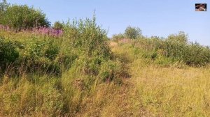 Воркута. 28.07.26. Обеденный перерыв на базе Заречная.  купальный сезон продолжается.
