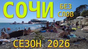 Сочи сегодня, Сочи набережная, Сочи 2026, город сочи, сочи сейчас, Погода в Сочи, Сочи маяк