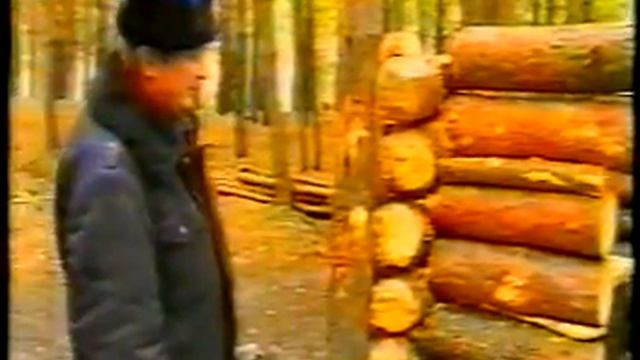 Сухоложские партизаны.