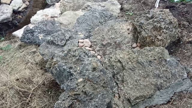 VID_20260729_191455