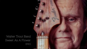 Walter Trout Band - Sweet As A Flower (1990)