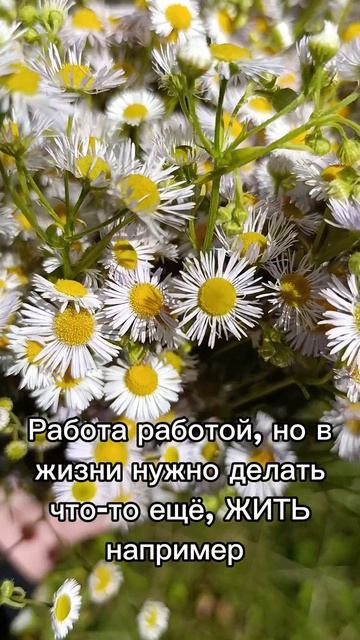 отпуск привет