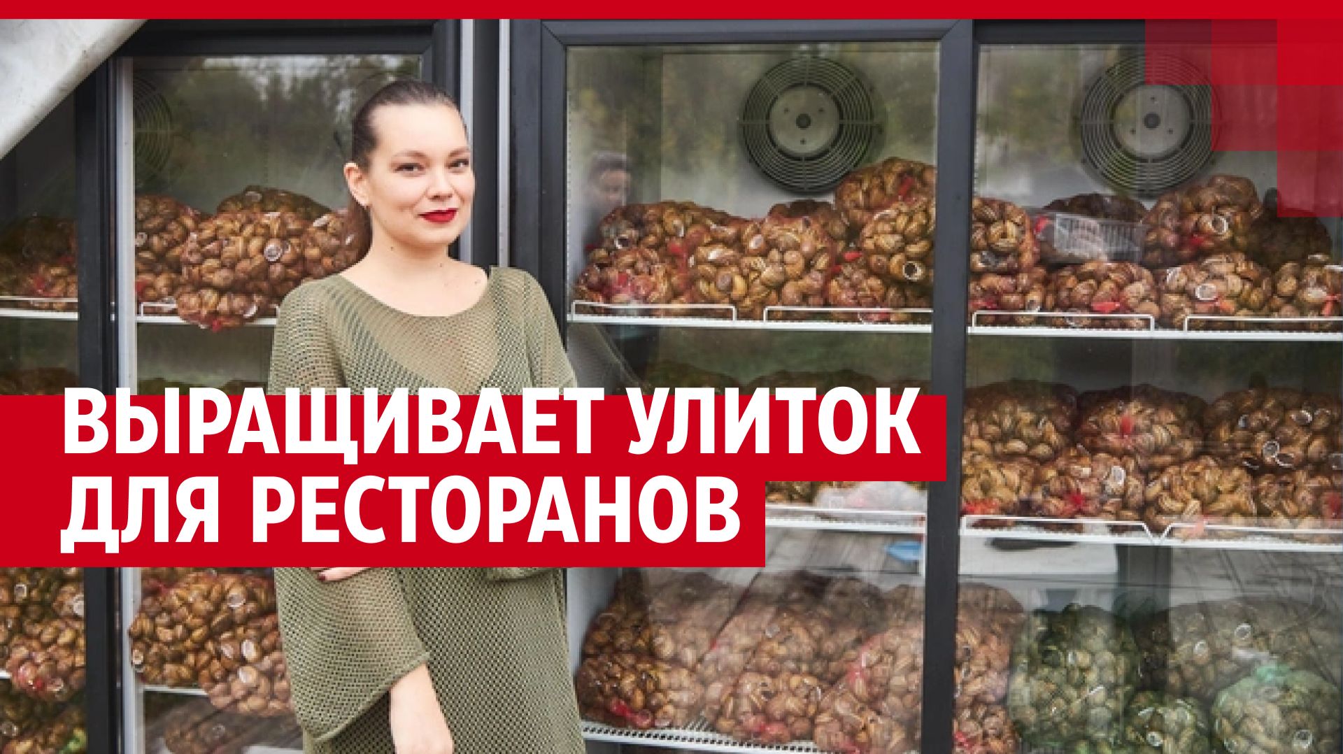 Выращивают улиток для ресторанов