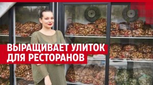Выращивают улиток для ресторанов
