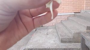1000006158.mp4