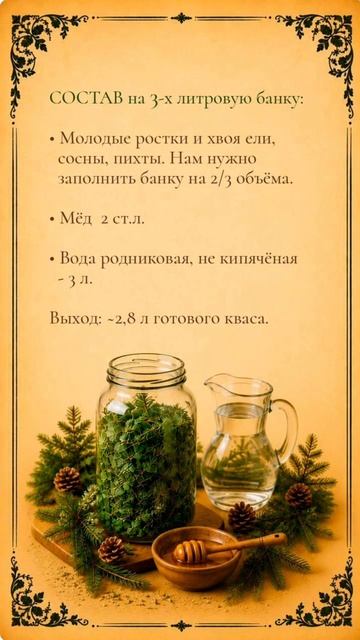 Хвойный квас с мёдом для микрофлоры кишечника