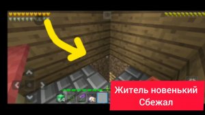 Житель новенький сбежал в Майнкрафт