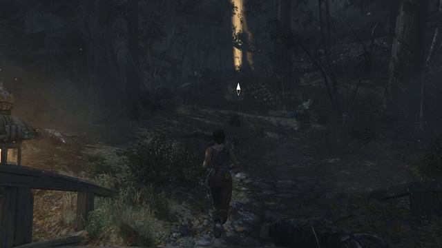 Tomb Raider (2013) #2