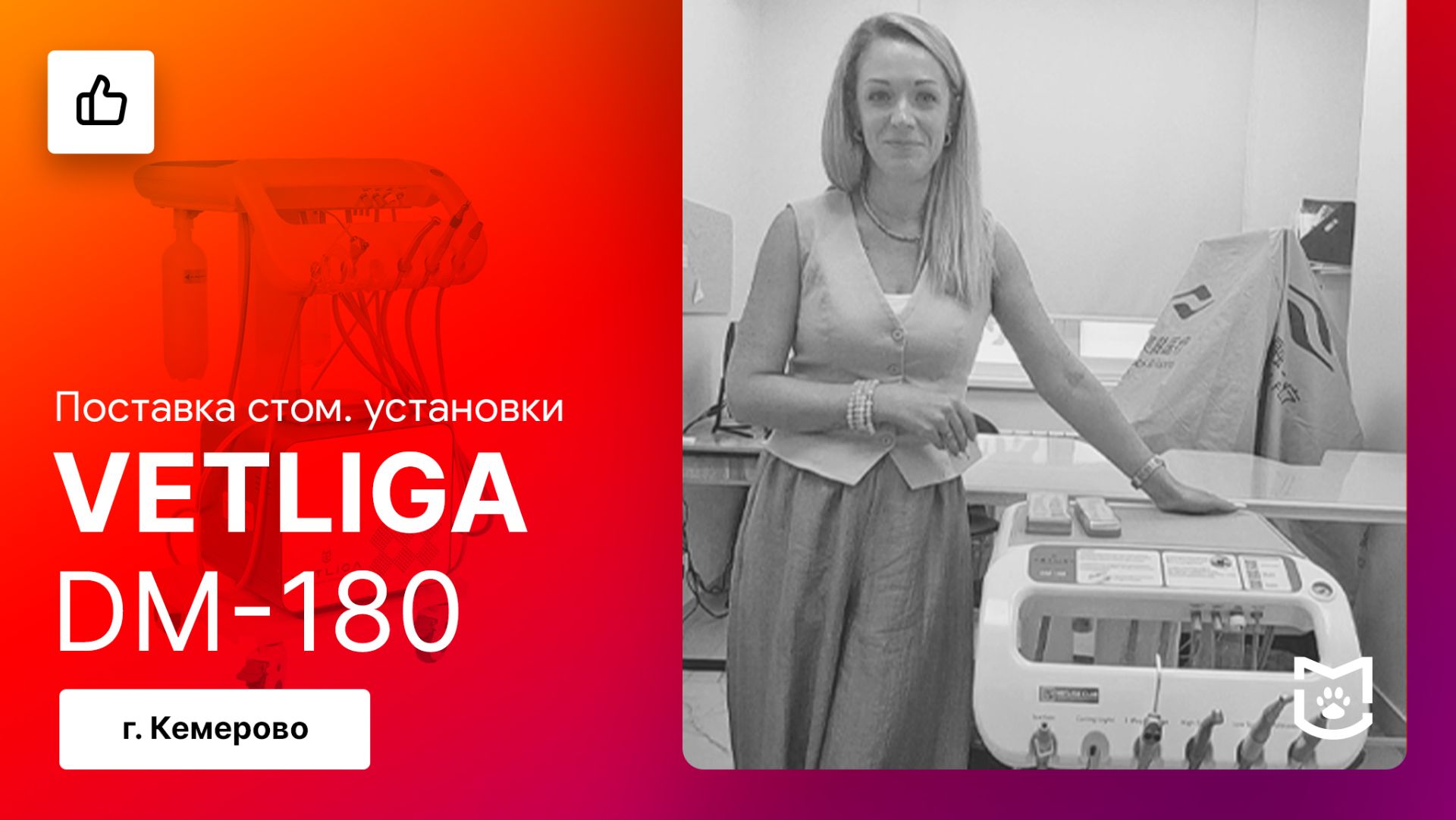 Отзыв на поставку стоматологической установки VETLIGA DM-180 / Кемерово