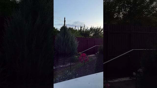29-07-2026