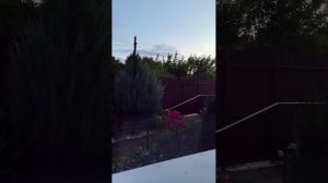 29-07-2026