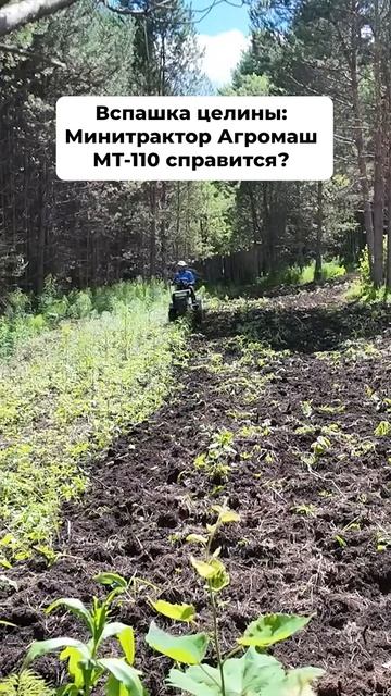 Новая фреза «Целина» - проверка в реальных условиях! 🚜