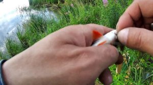 Рыбалка на спиннинг 2 дня