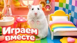 Хомяк выбирается из СЕКРЕТНОГО ЛАБИРИНТА 🐹 хомяк в лабиринте с препятствиями! Видео для детей №7