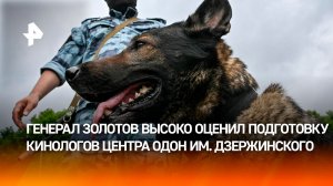 Кинологи Росгвардии учат собак десантироваться с парашютом