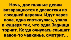 Возвращаются две пьяные девки с сельской дискотеки... #анекдоты #прикол #ржака
