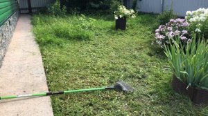 Работа в саду и огороде Кошу траву, подкормка петунии сбор огурцов и их подкормка