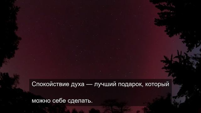 Выносливый хлеб 3