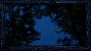 🌌 Звуки летней ночи для сна | Сверчки, сова и звёздное небо.