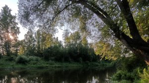 Вечерняя мормо прогулка