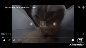 Сровниваем Диму 423ц анимейшонс