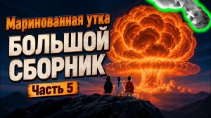 Маринованная утка. Большой выпуск ( Часть 5 ) - Реакция на История одного вокалиста - ритп rytp