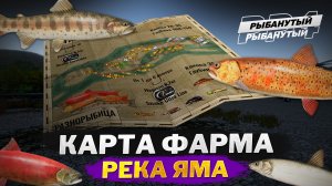 КАРТА ФАРМА СЕРЕБРА на Яме ● Гайд по ловле ● Русская Рыбалка 4