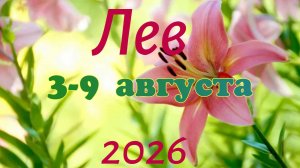 Лев♌Таро-прогноз на неделю с 3 по 9 авг🕊