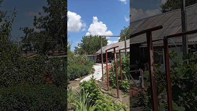 1000107291.mp4навожу порядки жду внуков