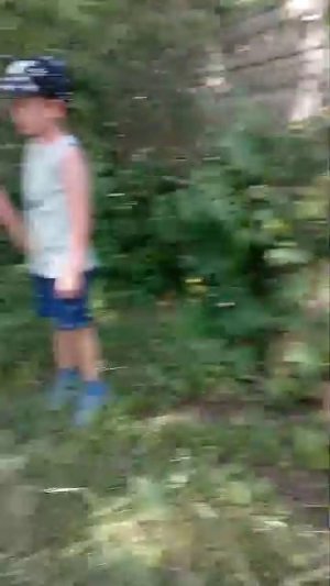 29-07-2026