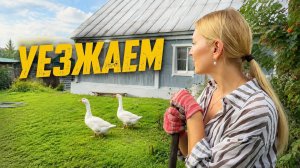 ПОКИДАЕМ ДОМ, ОСТАВЛЯЕМ ХОЗЯЙСТВО НА СОСЕДА/УБИРАЕМ УЧАСТОК И УЛЕТАЕМ НА НЕДЕЛЮ