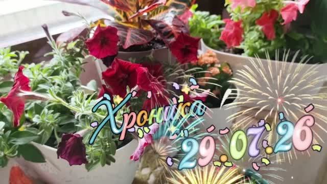 🌹Радуюсь каждому лепестку ☘️