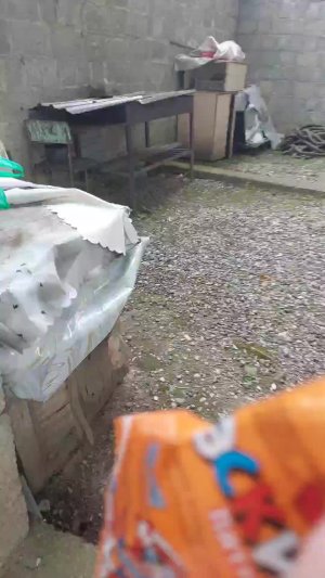 едим морожку и ходип по саду