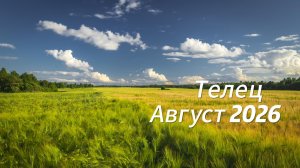 Телец Август 2026