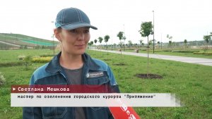 Время местное. Эфир: 29-07-2026 - Кленовая аллея в Притяжении