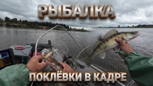 Рыбалка на Оке: троллинг и джиг — все поклёвки в одном видео