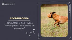 Апортировка