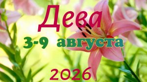 Дева♍Таро- прогноз на неделю с 3 по 9 августа 🕊