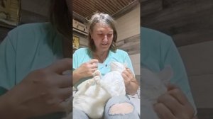 Маленькая рычалкина возмущается но ест
