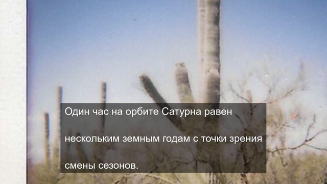 Сливки общества 1