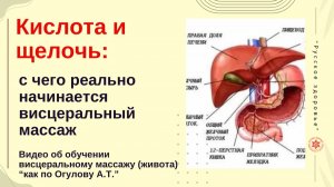 Кислота и щелочь: с чего реально начинается висцеральный массаж . Видео об обучении