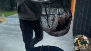 Запуск форели на лесном пруду 29 июля